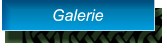 Galerie Galerie