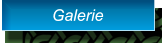 Galerie Galerie