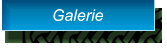 Galerie Galerie