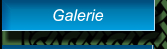 Galerie Galerie