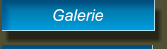 Galerie Galerie