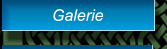 Galerie Galerie